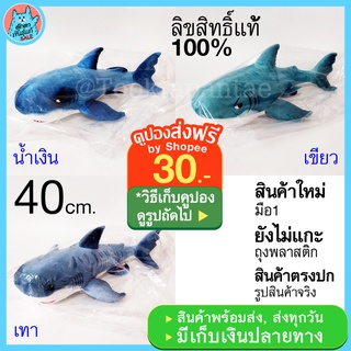 ตุ๊กตาฉลาม ตุ๊กตาปลาฉลาม ขนาด 40 cm. หลายสี ตุ๊กตาปลา ปลาฉลาม ตุ๊กตา Shark Doll ตุ๊กตาปลาน่ารัก ลิขสิทธิ์แท้ พร้อมส่ง