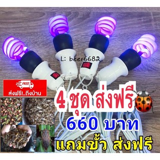 หลอดไฟล่อแมลง ( 4 ชุด ) แถมขั่วไฟฟรี ⏩ 🔺แค่ 660 บาท ✅ส่งฟรีเงินปลายทาง