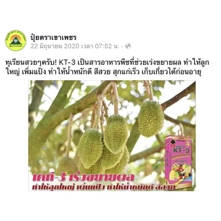 KT-1 เคที1 ,2,3 สารอาหารพืช(เขาเพชร)