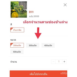 ถูก ใหม่ สายพันธุ์1แพ็ค (200เมล็ด) เมล็ดพันธุ์ถั่วบราซิล ตกแต่งสวน ตก50 เมล็ด (ไม่ใช่พืช/นี่มันเมล็ดพืช ) OFIR