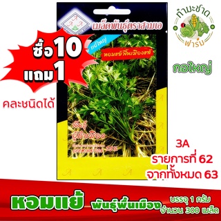 (ซื้อ10แถม1) เมล็ดพันธุ์ หอมแย้ พื้นเมือง Coriander ประมาณ 300เมล็ด 3A สามเอ ผักสวนครัว เมล็ดพันธุ์พืช เมล็ดผัก เม็ดผัก