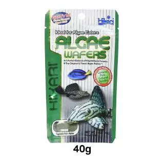 Hikari Algae Wafers อาหารปลาฮิคาริ สำหรับปลากินพืช กินตะไคร่ แบบเม็ดจม สำหรับปลาพื้นตู้ ปลาแพะ ปลาหมู ปลาซัคเกอร์ เม็ดจม