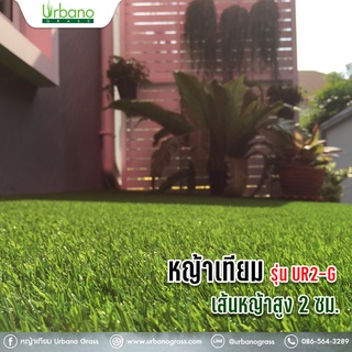 หญ้าเทียม 2 ซม.เกรดพรีเมี่ยม เกรดAAA หญ้าเทียม เออร์บาโน่ กร๊าส (URBANO GRASS) (ขนาด 1x4 เมตร // 1x5 เมตร) ตกแต่งสวน