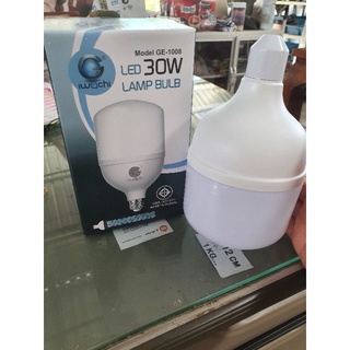 หลอดไฟLED 30w แสงสีขาว iwachi