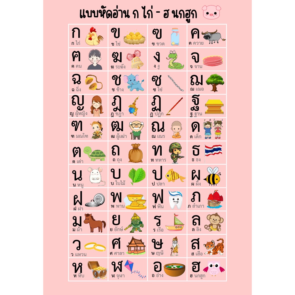 แผ่นความรู้แบบหัดอ่าน ก ไก่-ฮ นกฮูก ฉบับขนาดA4