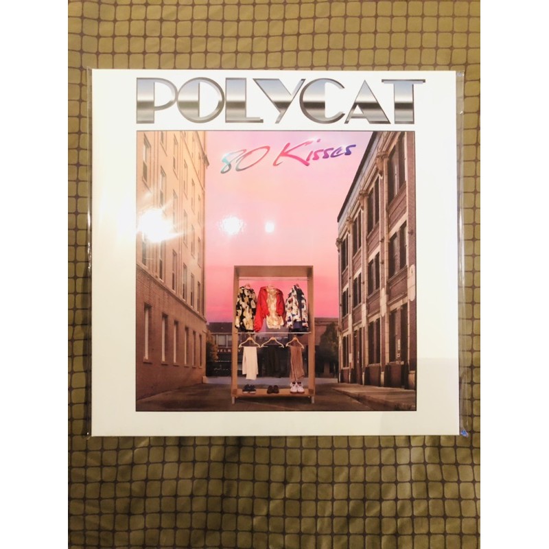 แผ่นเสียง POLYCAT ( Vinyl )
