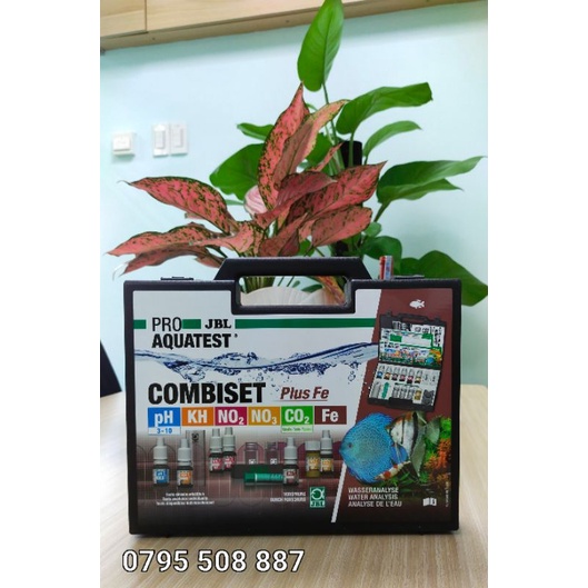 5 SEGMENT TEST VALUES PLUS FE JBL