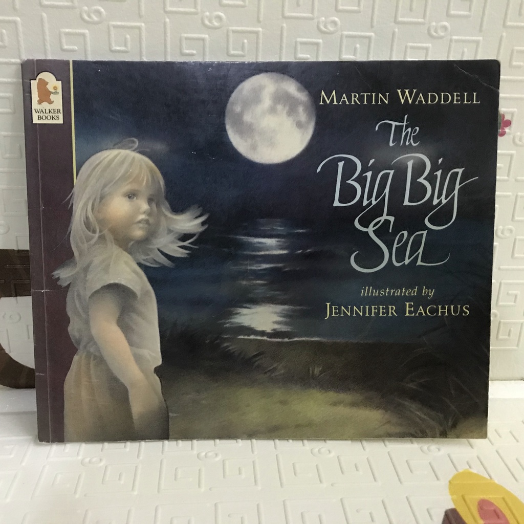 หนังสือภาษาอังกฤษ มือสองนำเข้าจากอังกฤษWALKER BOOKS MARTIN WADDELL The Big Big Sea