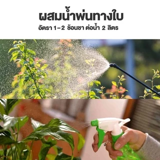 ปุ๋ยเกล็ด 0-52-34 โมโนโพแทสเซียมฟอสเฟต 1 กิโลกรัม สะสมอาหารเร่งดอก พ่นทางใบ ระบบน้ำ และไฮโดรโปนิกส์