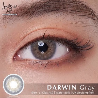 Darwin gray พร้อมส่งค่าสายตา (Lovelysoft)