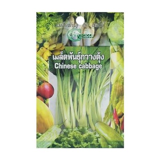 [พร้อมส่ง] HomeDoDee เมล็ดพันธุ์กวางตุ้ง กรีน การ์เด้น เมล็ด เมล็ดพันธุ์ เมล็ดพันธุ์พืช