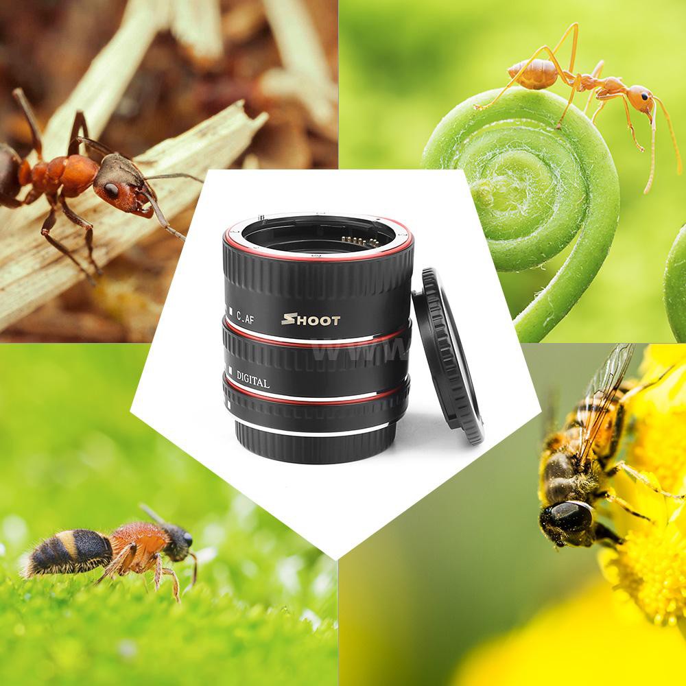 Canon Ef SHOOT XT-364 Kit D'adaptation De Tube D'extension Macro Pour Objectif /EF-S Pour Canon 550D/600D/650D/700D/750D/760D/77D/60D/70D/80D/7D/ 7D II/5D II/5D III/5D IV/6D Objetivo Macro Para Canon