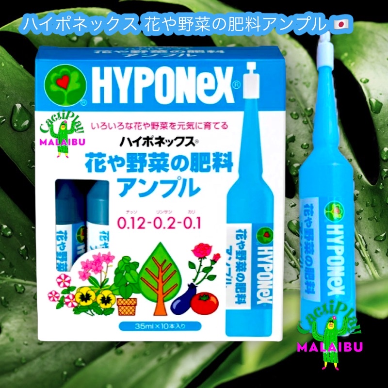 ไฮโปเน็กซ์ ปุ๋ยสำหรับไม้ดอก ผัก พืชใบเขียว ขนาด 35มล. ต่อหลอด Hyponex Ampoule หลอดสีฟ้า ขนาด 35 ml.