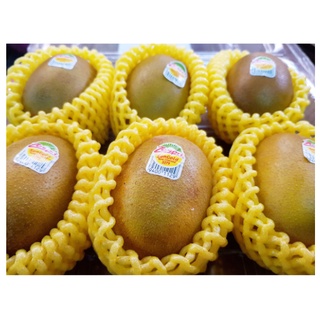 TOP-1กีวี่ทอง KIWI Zespri SunGold (ยกลัง44-52ลูก) (NewZealand) ~ลดพิเศษ~ กีวีสด กีวี่สด กีวีสีทอง กีวี่สีทอง ขายส่ง ราคา