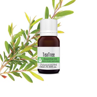 ทีทรี เอสเซ็นเชียล ออยล์ นํ้ามันหอมระเหย บริสุทธิ์100% ขนาด 10กรัม Tea Tree Essential Oil