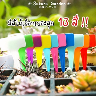 ซื้อ10แพคแถมฟรีปากกา!! ป้ายชื่อต้นไม้รูปตัว T (20ชิ้น/19บาท) ขนาดใหญ่ 6 x 10 cm. แท๊กต้นไม้ ป้ายชื่อพลาสติก