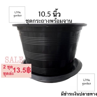 Little กระถางพร้อมจาน 10.5 นิ้ว (กระถาง 10.5 นิ้ว จาน 10 นิ้ว)