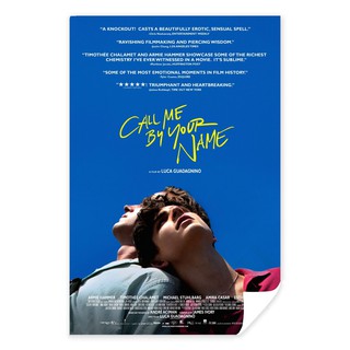 โปสเตอร์ภาพยนตร์ Call me by your name