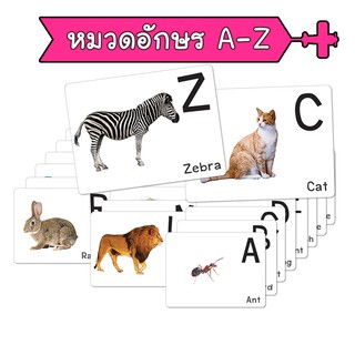 แฟลชการ์ด หมวด abc อักษร a-z บัตรคำ แนวการสอนเดียวกับ ชิจิดะ เฮกุรุ