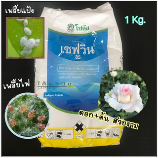 เซฟวิน 1 Kg.(Carbaryl)  ชนิดผง กำจัดเพลี้ย จักจั่น เพลี้ยอ่อน เพลี้ยแป้ง แมลงใต้ดิน ปลวก มด ด้วงดิน และแมลงปีกแข็ง สารกำ