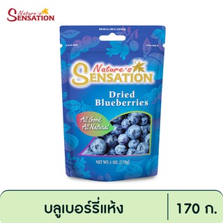 เนเจอร์เซ็นเซชั่น บลูเบอร์รี่แห้ง 170 g. Natures Sensation Dried Blueberries 170 g.