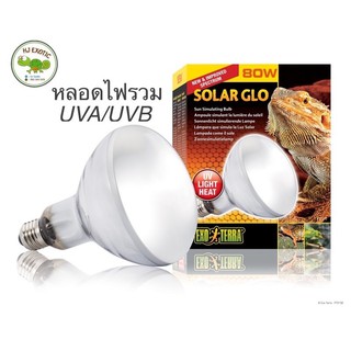 Solar Glo 80W (หลอดไฟจำลองแสงอาทิตย์ ความร้อนUVA+UVBในหนึ่งหลอด)