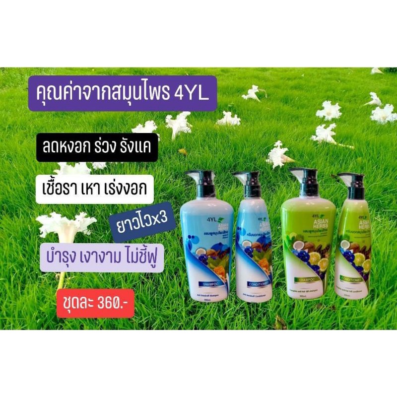 แชมพูสมุนไพร4YL ลดหงอก ลดคัน