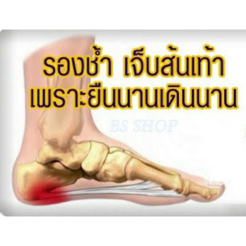 รักษา​ รองช้ำ แก้เจ็บส้นเท้า ฝ่าเท้า 2ชิ้น ลดเพิ่ม20฿ หลังเท้า ใต้เท้า เจ็บข้อเท้า ANKLE&HEEL SUPPOR