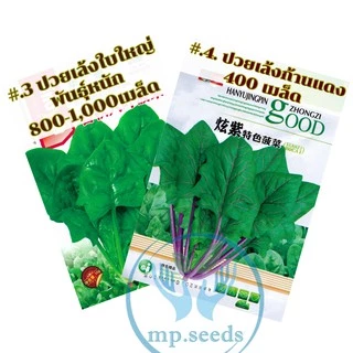 เมล็ดปวยเล้ง ปวยเล้งญี่ปุ่น 250-1600เมล็ด (5-40กรัม) สายพันธุ์ OP
