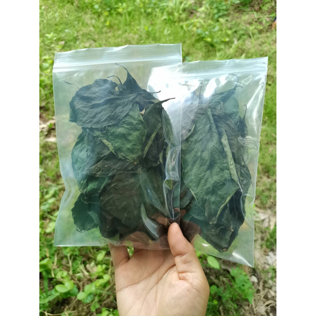 ใบเนียมหอม อบแห้ง ใช้ดองเหล้าชงชา ​ ปลอดสารพิษใบเนียมอ้ม