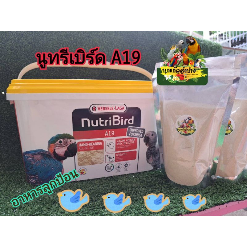 Nutribird A19 อาหารนกลูกป้อน นูทรีเบิร์ดA19