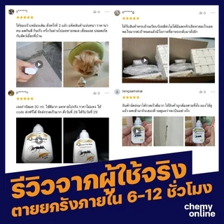 เหยื่อกำจัดมด Queen ant Bait ปลอดภัยกับคน ฆ่ามดยกรัง อาหารมด เจลกำจัดมด ฆ่ามดทั้งรัง(ขนาดบรรจุ 30 กรัม)