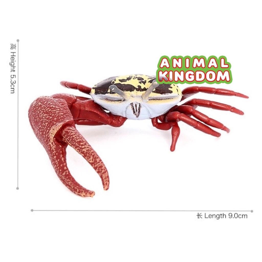 Animal Kingdom โมเดลสัตว์ Crab ปู ก้ามดาบ ลม ขนาด 9.00 CM (จากหาดใหญ่) ราคา ถูกที่สุด ดีลบีเคเค แกลเลอรีภาพที่ 3