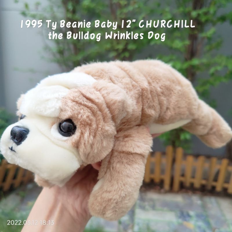 ตุ๊กตา หมา สุนัข บลูด็อก ขนาด12นิ้ว ป้ายปี 1995 Ty Beanie Baby CHURCHILL the Bulldog Wrinkles Dog ขน