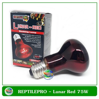 หลอดไฟให้แสงกลางคืนและความร้อน สำหรับสัตว์เลื้อยคลาน REPTILEPRO Lunar-Red Basking Lamp 75W