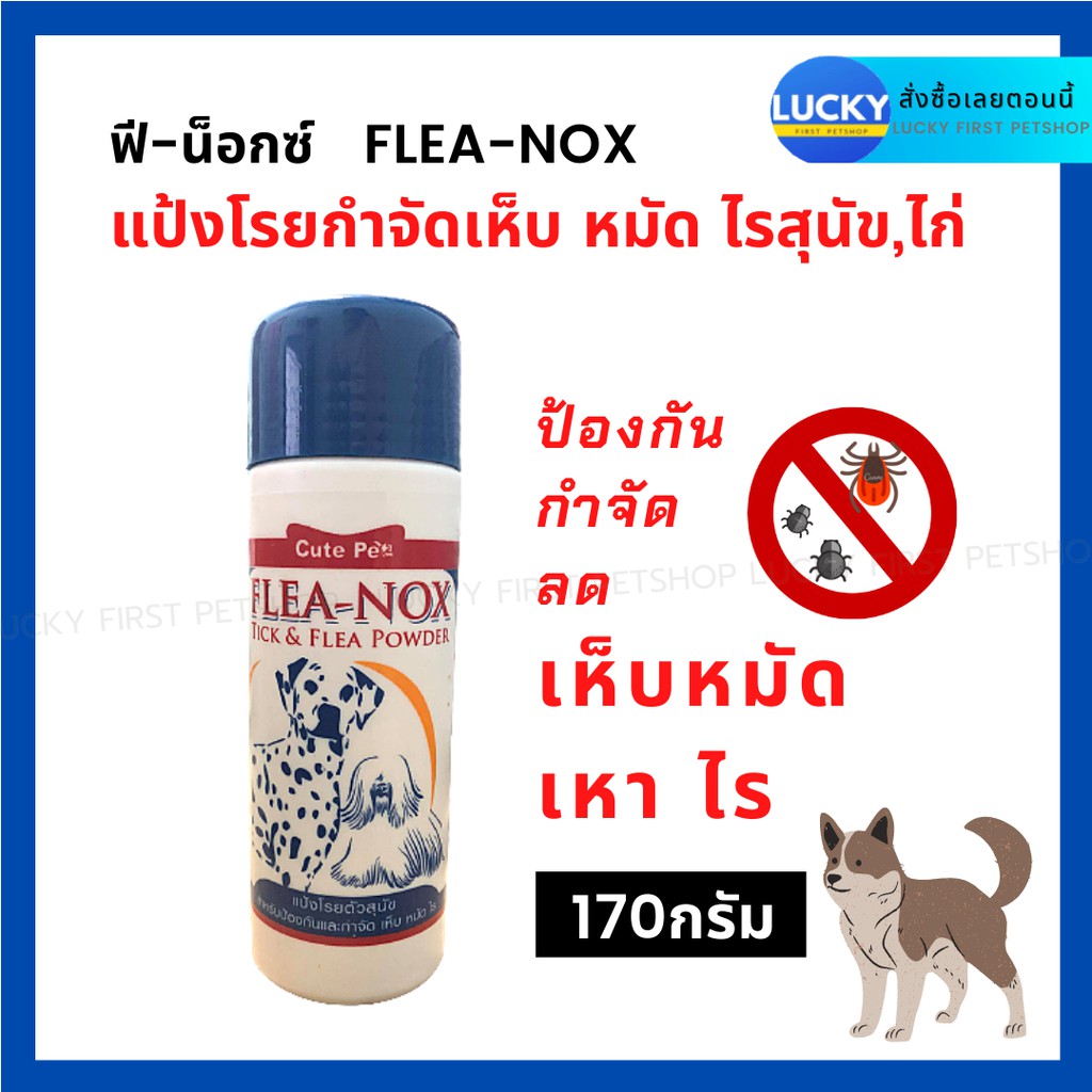 My Image 11