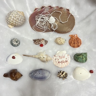 DIY โมบายสำหรับไปร้อยด้วยตัวเอง 1 ชุด