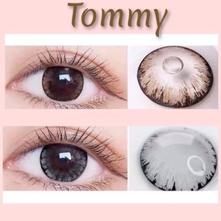 คอนแทคเลนส์ รุ่น Tommy ยี่ห้อ Pitchylens ตาโต มีสี เทา ตาล สายตาปกติ