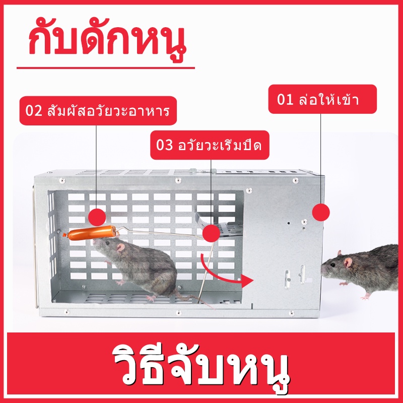 +✅【ถูกสุดๆ】KUAIBU กรงดักหนู ที่ดักหนู กับดักหนู โรงงานราคาส่งโรงงานราคาถูกรับประกันของแท้ - รูปที่ 2