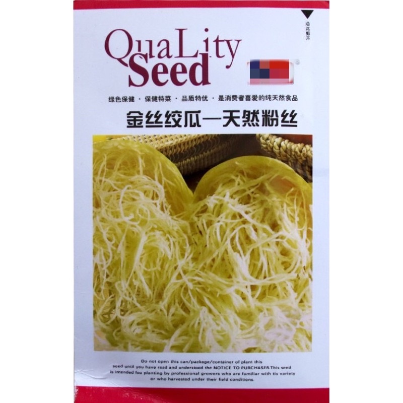 เมล็ด ฟักทอง สปาเก็ตตี้ 20 เมล็ด spaghetti squash Original Packaging สายพันธุ์ OP