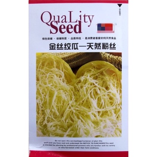 เมล็ดฟักทองสปาเก็ตตี้  20 เมล็ด  spaghetti squash Original Packaging  สายพันธุ์ OP