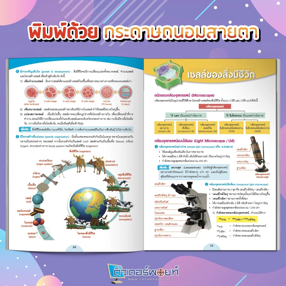 หนังสือ สรุปเนื้อหา ชีววิทยา มัธยมปลาย (BIOLOGY) [รหัส A-005] thumbnail 8