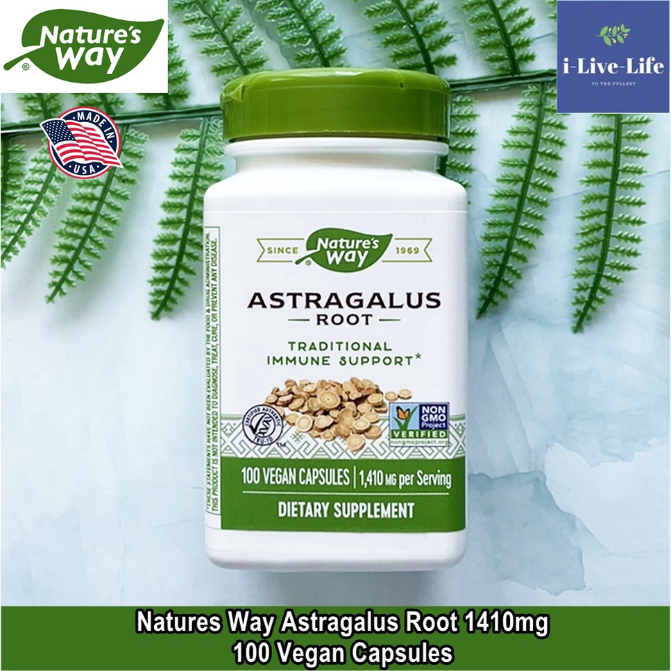 อึ้งคี้ แอสทรากาลัส Astragalus Root 1,410 mg 100 Veg Capsules - Nature's Way