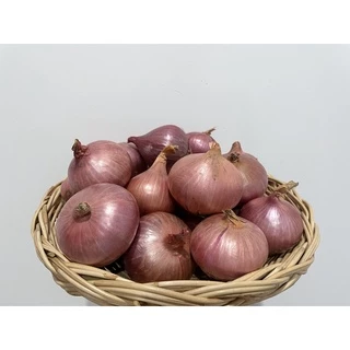 หอมแขกใหญ่ 🧅 500 กรัม และ 1 กิโลกรัม แห้ง สด คัดคุณภาพให้ แข็งทุกลูก Onion
