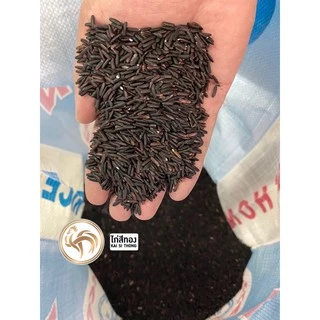 🌾ข้าวกล้องไรซ์เบอร์รี่ปลอดสาร เกรดคัดสีพิเศษ ตราไก่สีทอง แพคสูญญากาศ Organic แท้ 100% 1 กก.