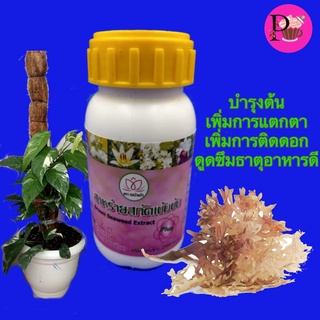 สาหร่ายสกัดเข้มข้น ปริมาตร 290 CC สารสกัดบำรุงต้นไม้ แตกตาดี  แตกดอก สีสดสวย ปุ๋ยน้ำ