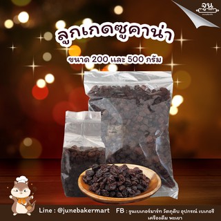 RAISINS │ ลูกเกดซูคาน่าพร้อมทาน