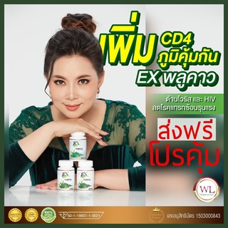 Ex พลูคาว พญายอ Plu Kow สมุนไพรช่วยพื้นฟูผิวหนังและระบบน้ำเหลือง แพ้ คัน ผสมสมุนไพร 7 ชนิด