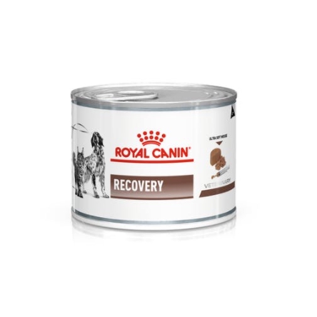 Royal Canin Recovery อาหารสัตว์ป่วยพักฟื้น สุนัข/แมว 195 กรัม