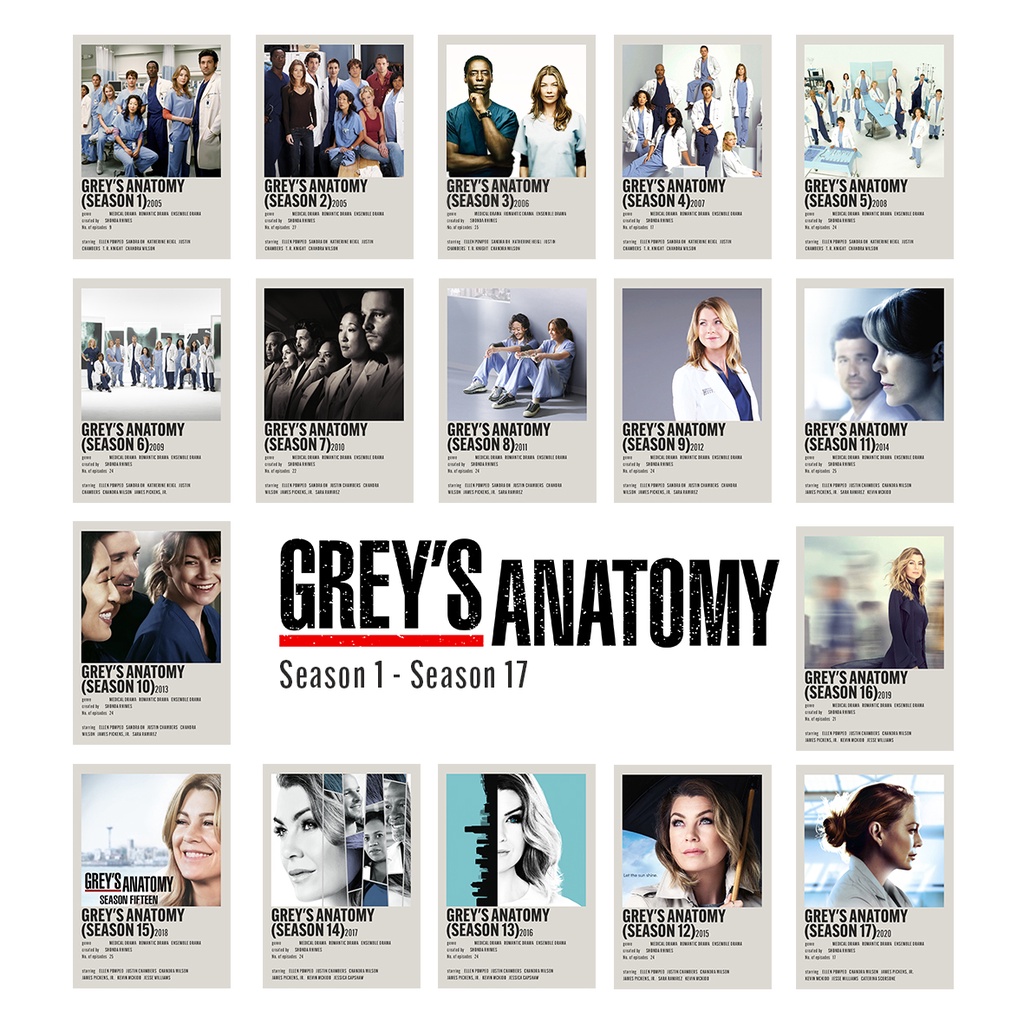 โปสเตอร์ Greys Anatomy Complete seasons 13 x 18 ซม